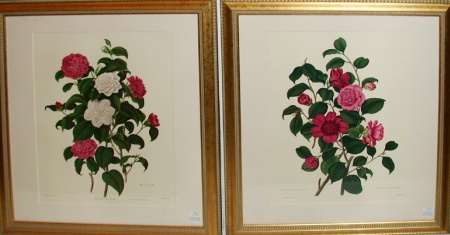 Lot image - After Clara Maria Pope