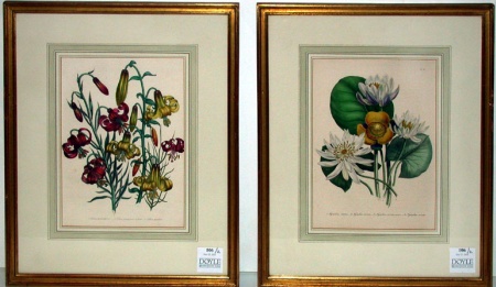 Lot image - After Jane Loudon