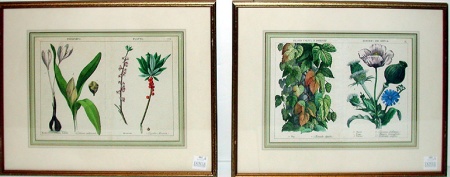 Lot image - Artist Unknown