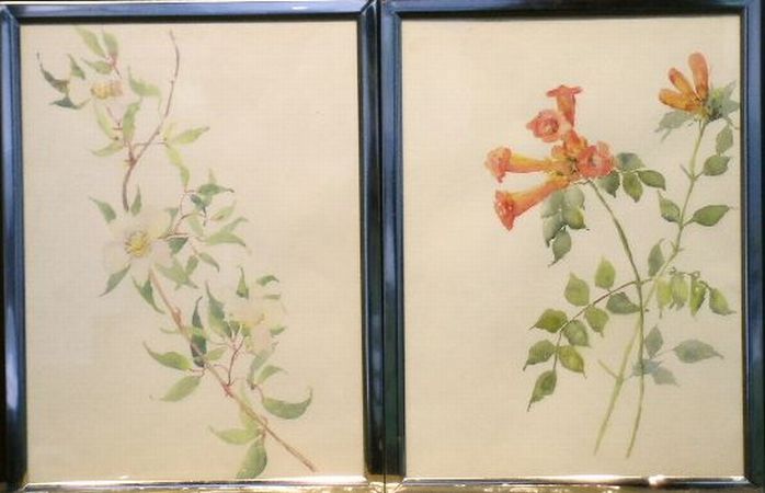 Lot image - Indian School