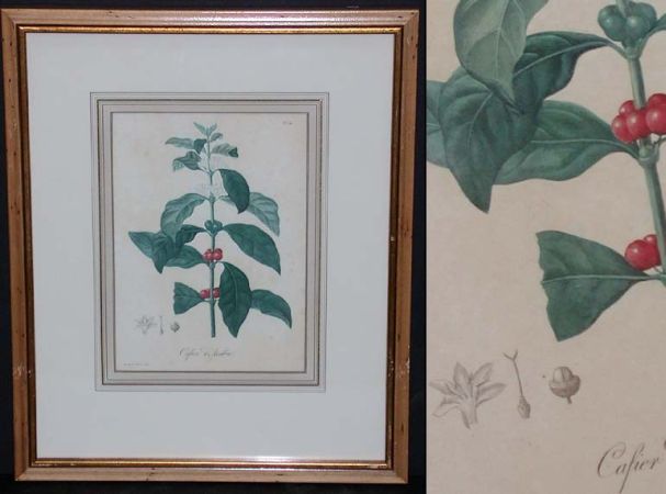 Lot image - Hocquart