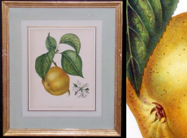 Lot image - Artist Unknown