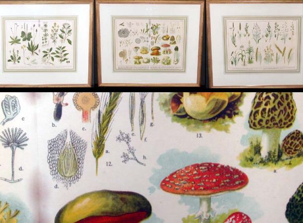 Lot image - Artist Unknown