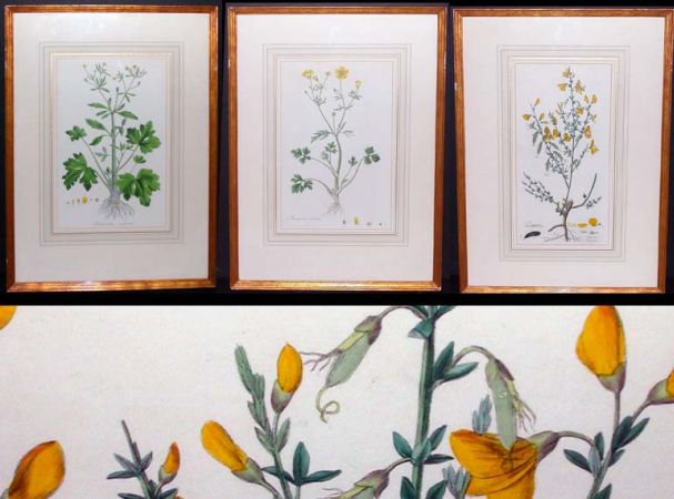 Lot image - Artist Unknown