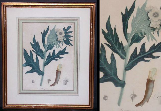 Lot image - Hocquart