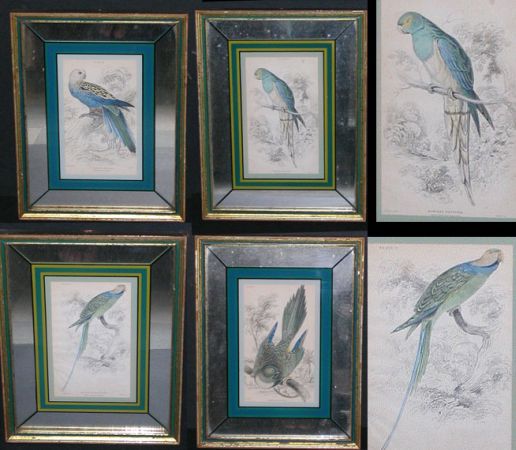 Lot image - After Edward Lear