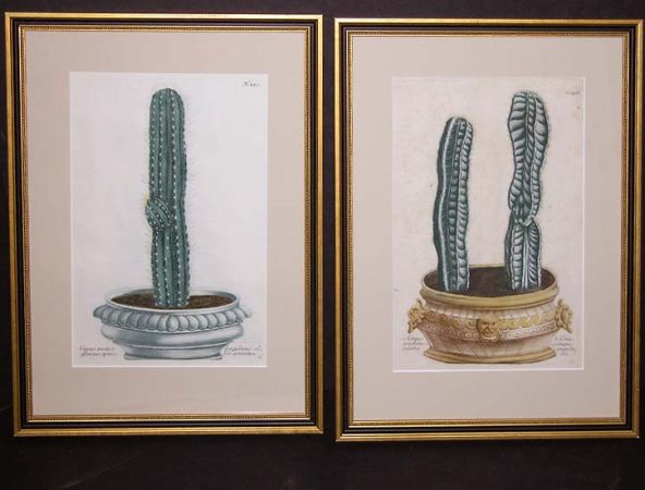 Lot image - After Johann Weinmann