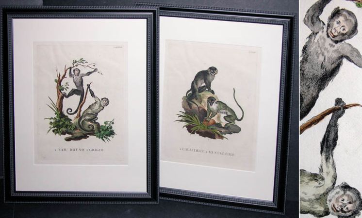 Lot image - Innocente Alessandri