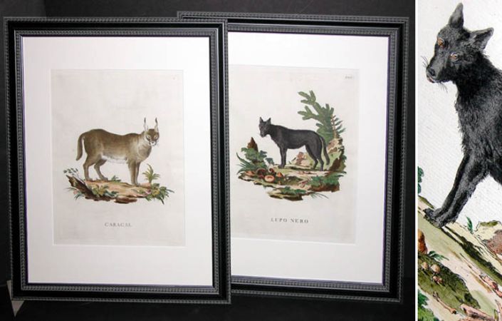 Lot image - Innocente Alessandri