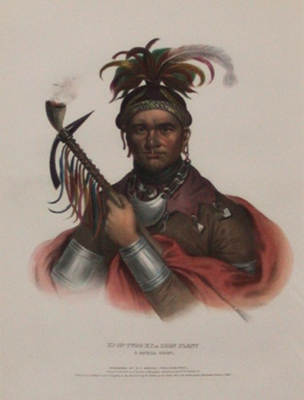 Lot image - McKenney & Hall KI-ON-TWOG-KY OR CORN PLANT Hand-colored lithograph by J. T. Bowen