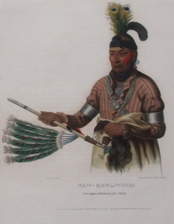 Lot image - McKenney & Hall NAW-KAW OR WOOD Hand-colored lithograph