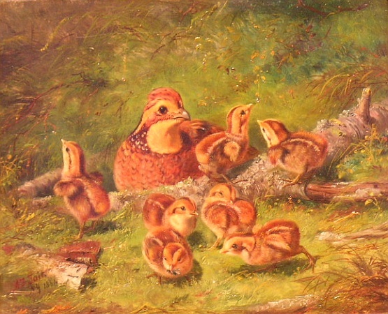 Lot image - Arthur Fitzwilliam Tait 1819-1905 RUFFED GROUSE AND CHICKS