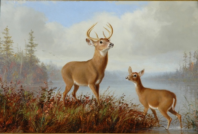 Lot image - Arthur Fitzwilliam Tait 1819-1905 STAG AND DOE