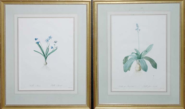 Lot image - After P. J. Redoute SCILLA AMOENA and SCILLA LILLO, HYACINTHUS Two hand-colored color stipple engravings
