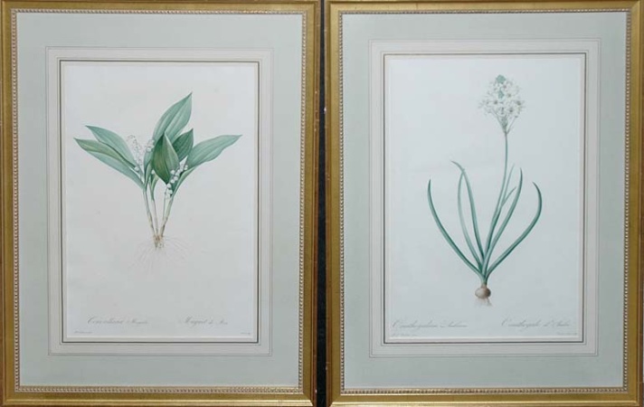 Lot image - After P. J. Redoute CONVALLARIA MAYALIS and ORNITHOGALUM ARABICUM Two hand-colored color stipple engravings