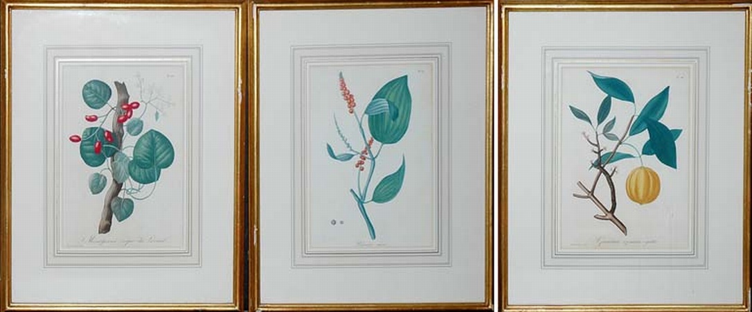 Lot image - Hocquart