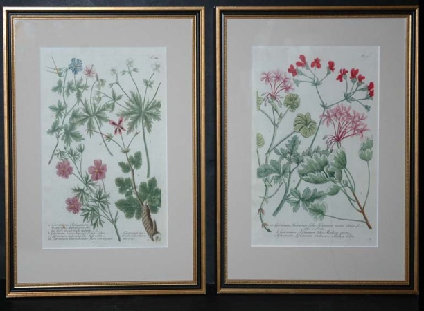 Lot image - After Johann Weinmann