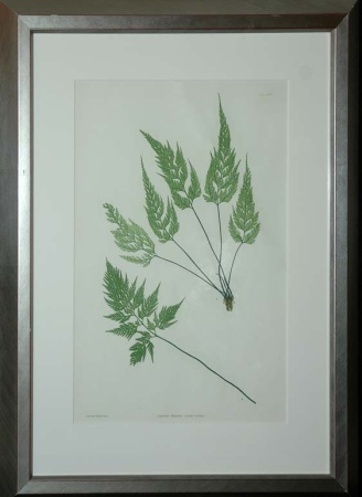 Lot image - Thomas Moore