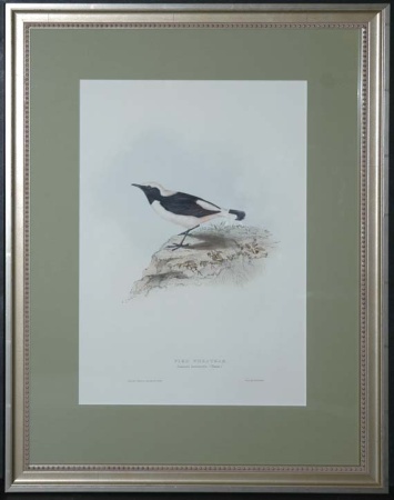 Lot image - J. & E. Gould