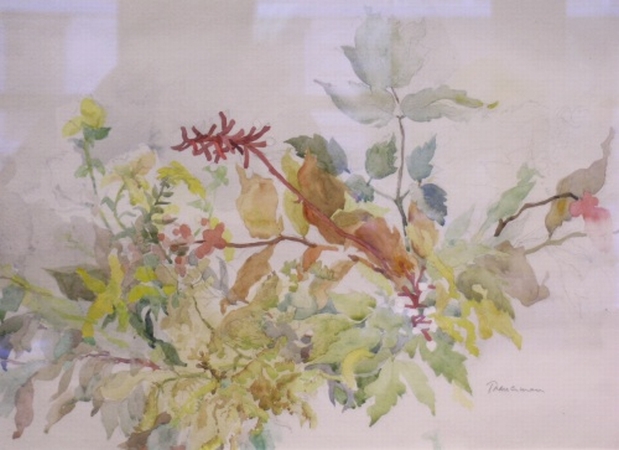 Lot image - Tranerman