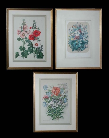 Lot image - After A. Faquez [BOUQUET OF FLOWERS] Color lithograph; t/w Edith F. Johnston [FLOWER STUDIES], two color photoreproductions (3)
