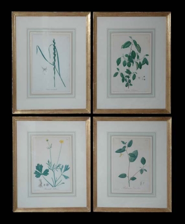 Lot image - Hocquart [FLOWER STUDIES] Four hand-colored color stipple engravings.