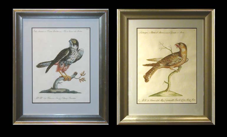 Lot image - Saverio Manetti, Lorenzo Lorenzi and Violante Vanni [BIRD STUDIES] Two hand-colored etchings and engravings