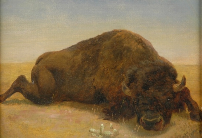 Lot image - Attributed to Charles Wimar Monarch of the Plains, circa 1850