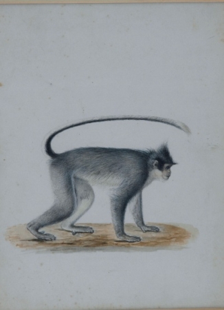 Lot image - Dutch School