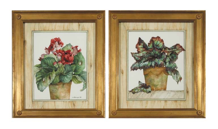 Lot image - James M. Steinmeyer Begonia and Gloxzina: Pair Signed and dated 1998 (lr) Watercolor 13 x 11 inches