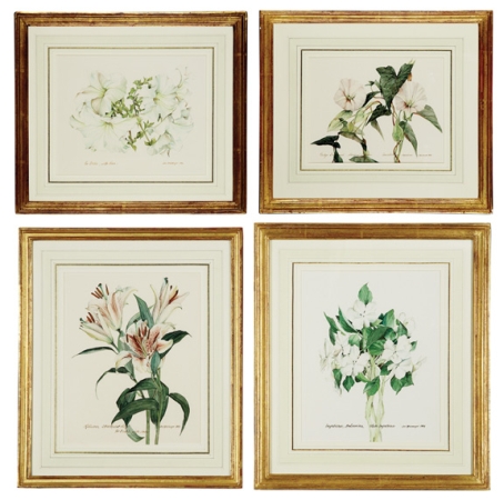 Lot image - James M. Steinmeyer (i) White Petunias and Morning Glories: Two; (ii) White Impatiens and Starburst Lily: Two