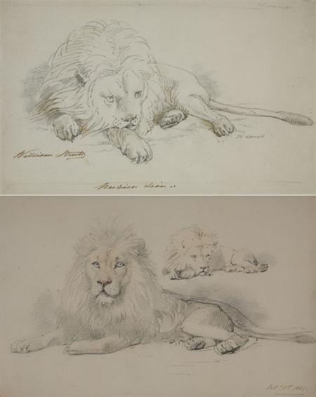 Lot image - William Strutt English, 1826-1915 Reclining Lions: Two