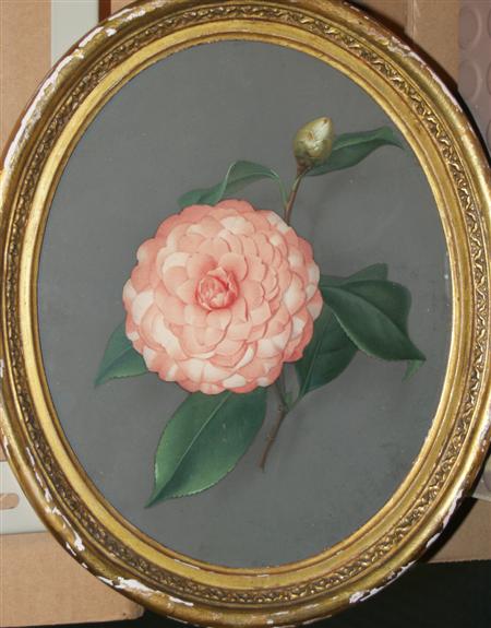 Lot image - Signora Mylius