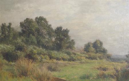 Lot image - Albert Babb Insley