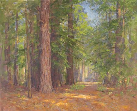 Lot image - Allen Dean Cochran