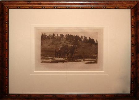 Lot image - After Edward Curtis