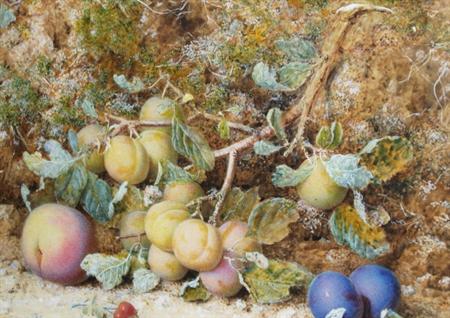Lot image - William Hough British, 1819-1897 Still Life of Plums