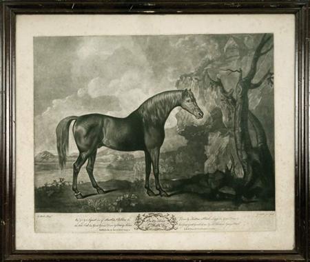 Lot image - After George Stubbs BROWN HORSE MASK Mezzotint by George Stubbs Jr., 1773