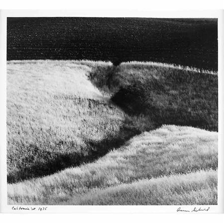 Lot image - SISKIND, AARON (1903-1991)  California 28, 1975