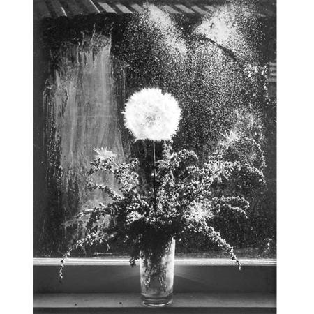 Lot image - CAPONIGRO, PAUL (b. 1932)  [Floral]