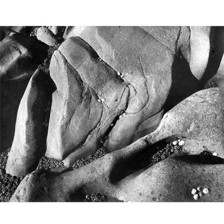 Lot image - ADAMS, ANSEL (1902-1984)  Rocks and Limpets. Point Lobos, California