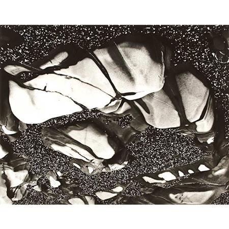 Lot image - WESTON, BRETT (1911-1993)  Untitled [Tide Pool, Point Lobos]