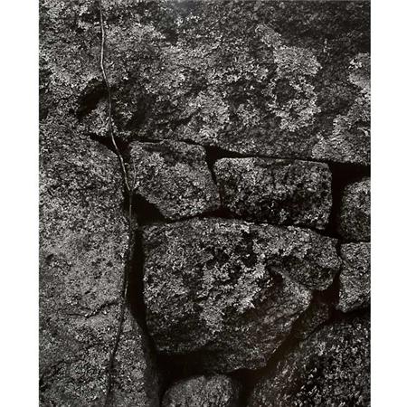 Lot image - SISKIND, AARON (1903-1991)  M.V. [Marthas Vineyard] 1954