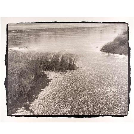 Lot image - KURITA, KOICHIRO  Group of two photographs: Winter Reeds