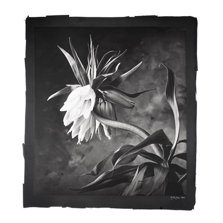 Lot image - DE COSSE, CY (b. 1929)  Group of two photographs