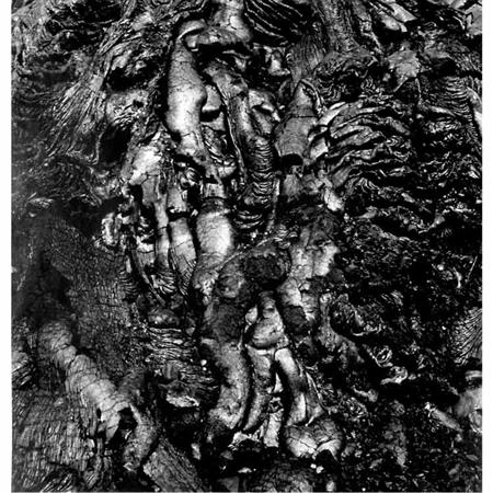 Lot image - SISKIND, AARON (1903-1991)  Volcano 50 1980