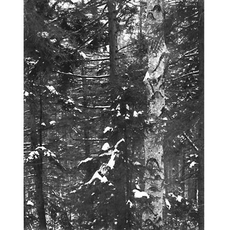 Lot image - CLIFT, WILLIAM (b. 1944)  Group of ten images