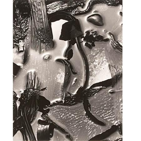 Lot image - WESTON, BRETT (1911-1993)  Untitled [Tide Pool, Point Lobos]