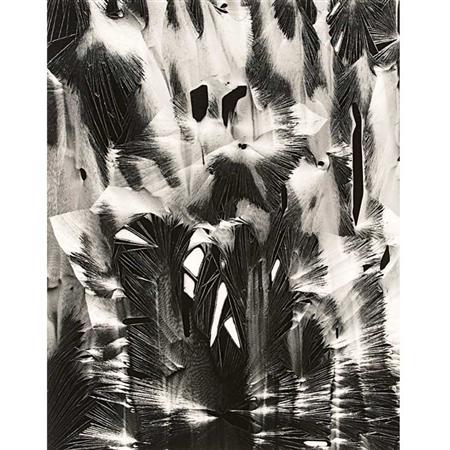 Lot image - WESTON, BRETT (1911-1993)  [Untitled-Cracked Paint]