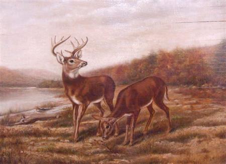 Lot image - Elias T. Abberley American, 19th/20th Century Deer in a Landscape